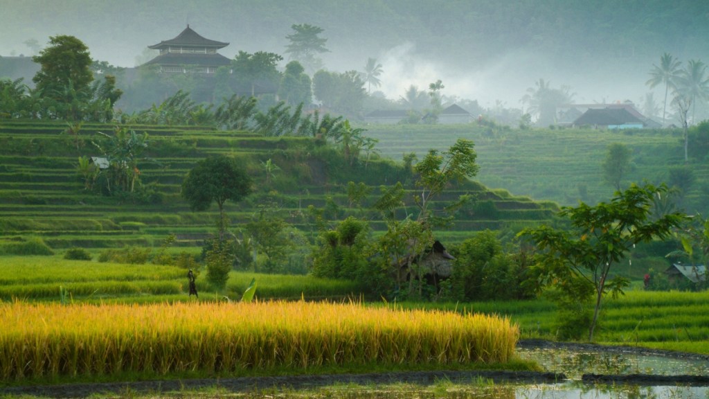 Sideman Valley Bali