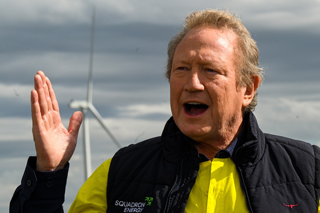 Andrew ‘Twiggy’ Forrest wants the potential impact on climate change of Woodside's project to be assessed. 