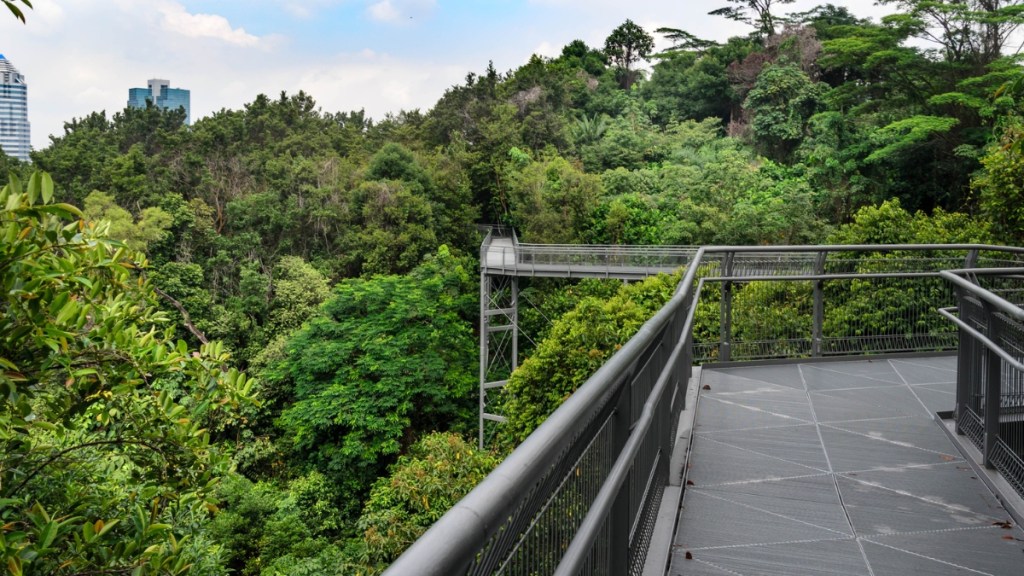 Singapore Southern Ridges Walkway