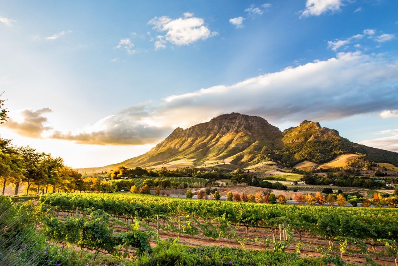 There's so many reasons to experience South Africa. 