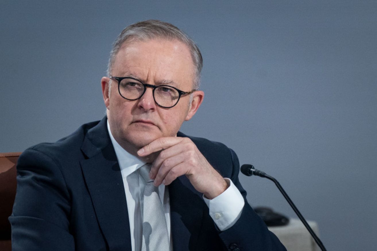 Anthony Albanese supported the review's decision not to recommend divestiture powers. Photo: Getty