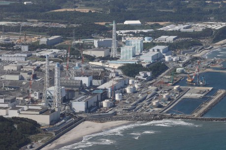 International team inspects Fukushima treated water