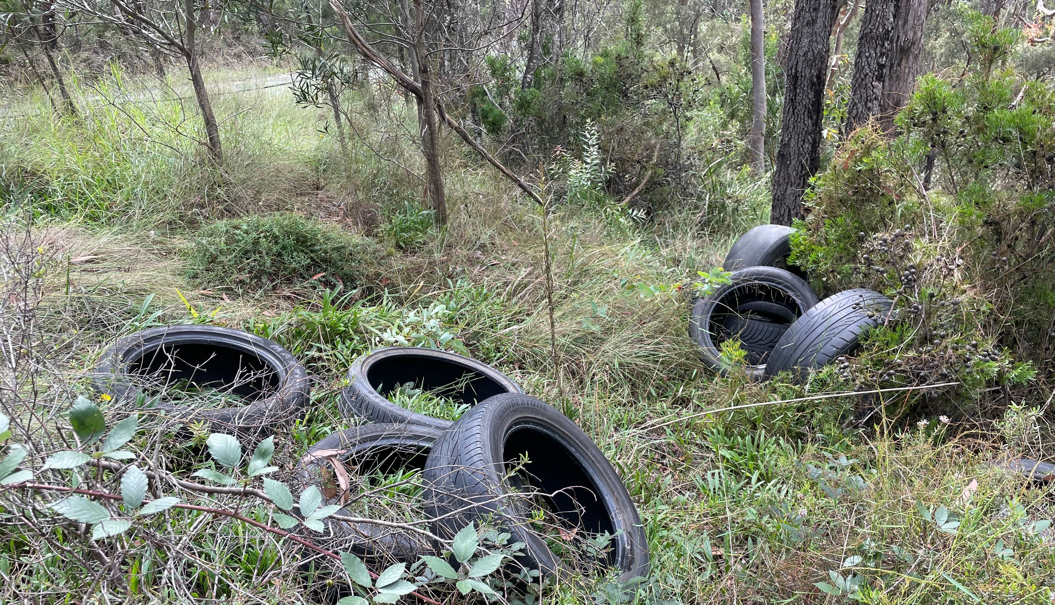 Pictured are some abandoned tyres