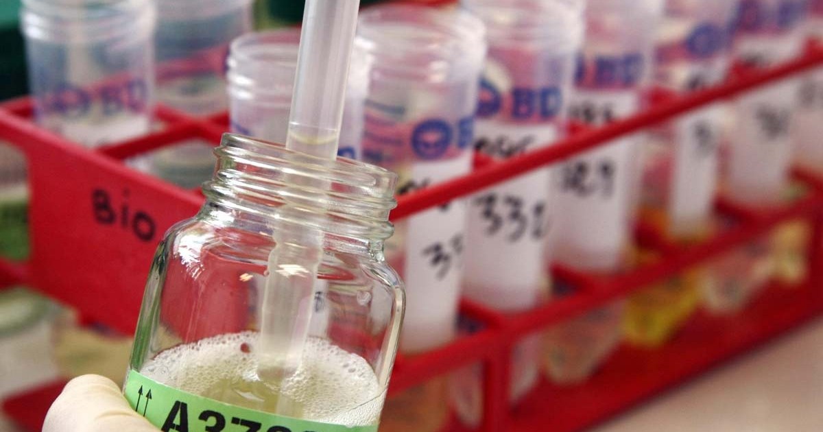 Coalition takes drug testing for welfare recipients back to parliament