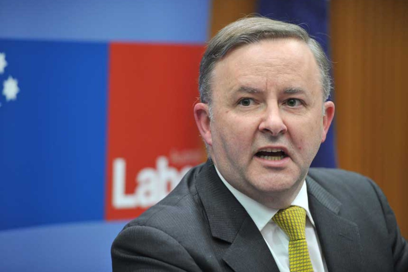 Has Anthony Albanese been positioning himself to challenge Bill Shorten for Labor leadership?