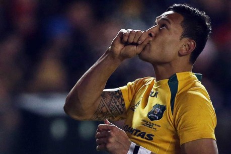 Wallabies triumph, but I could hardly bare to watch