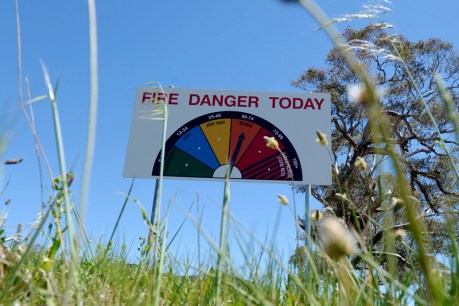 Soaring temperatures and wind prompt fire warnings