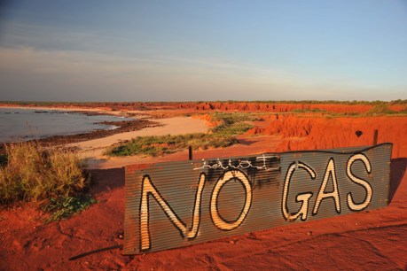 &#8216;Gagged&#8217;: Environment defenders slam funding loss
