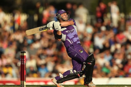Your guide to the Big Bash 2013/14