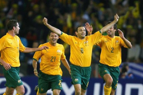 Josip Skoko on Australia&#8217;s World Cup dream