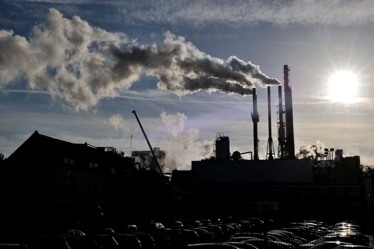 Top economists have overwhelmingly backed the reintroduction of the carbon price.