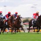 Think the RBA will lift rates on Melbourne Cup day? Don’t bet your house on it
