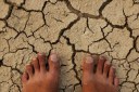 El Nino conditions spark crop-yield warnings