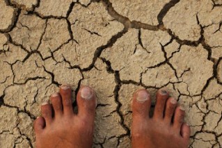El Nino conditions spark crop-yield warnings