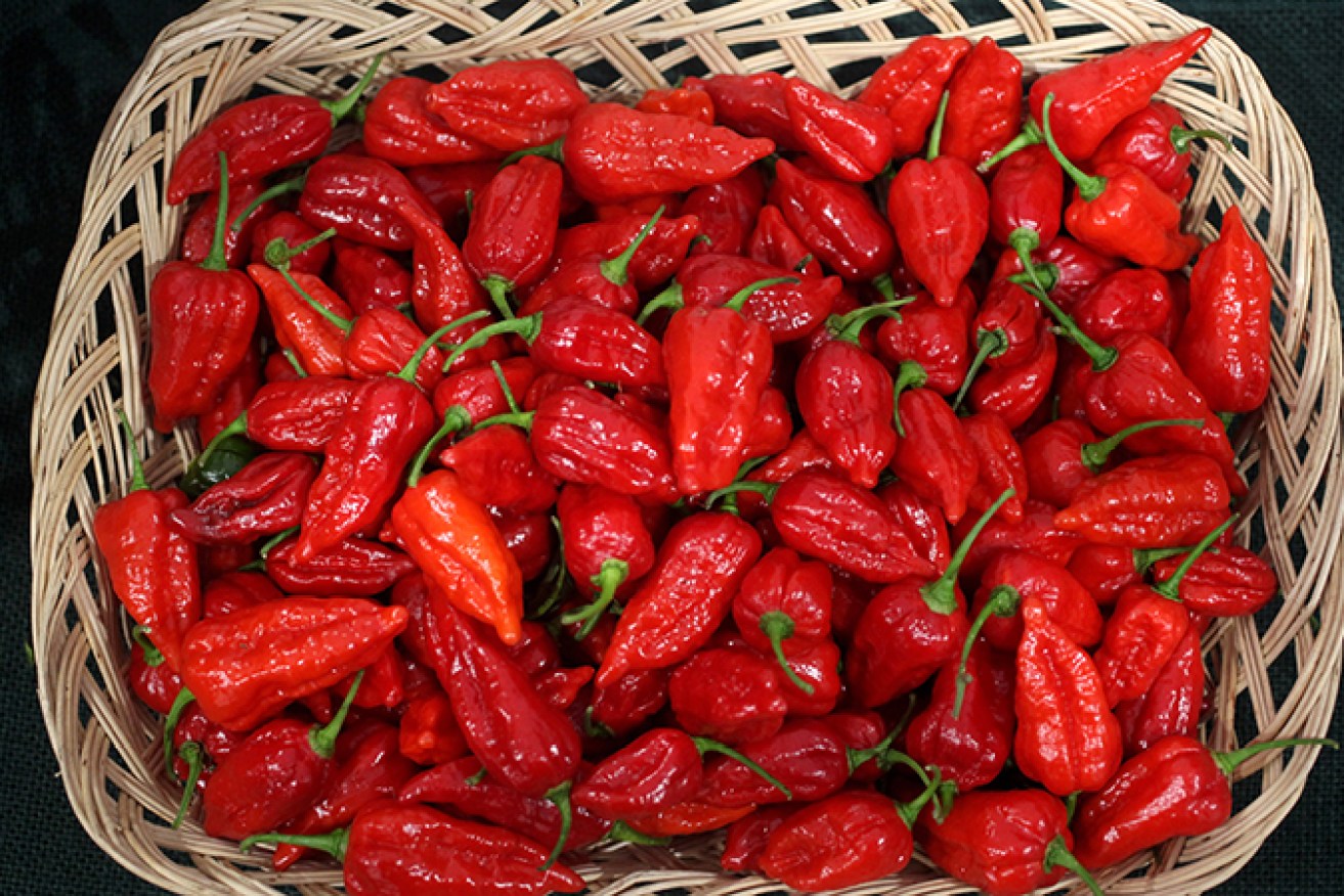 Blast out the flu with some fiery chilli. 