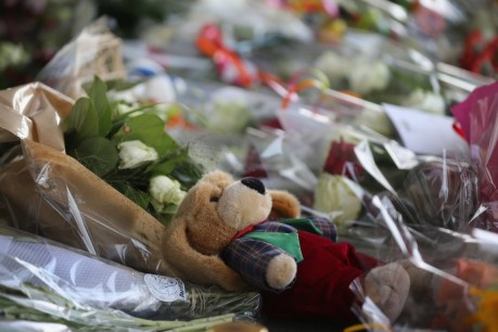 Moving tributes, chilling memories of MH17 victims