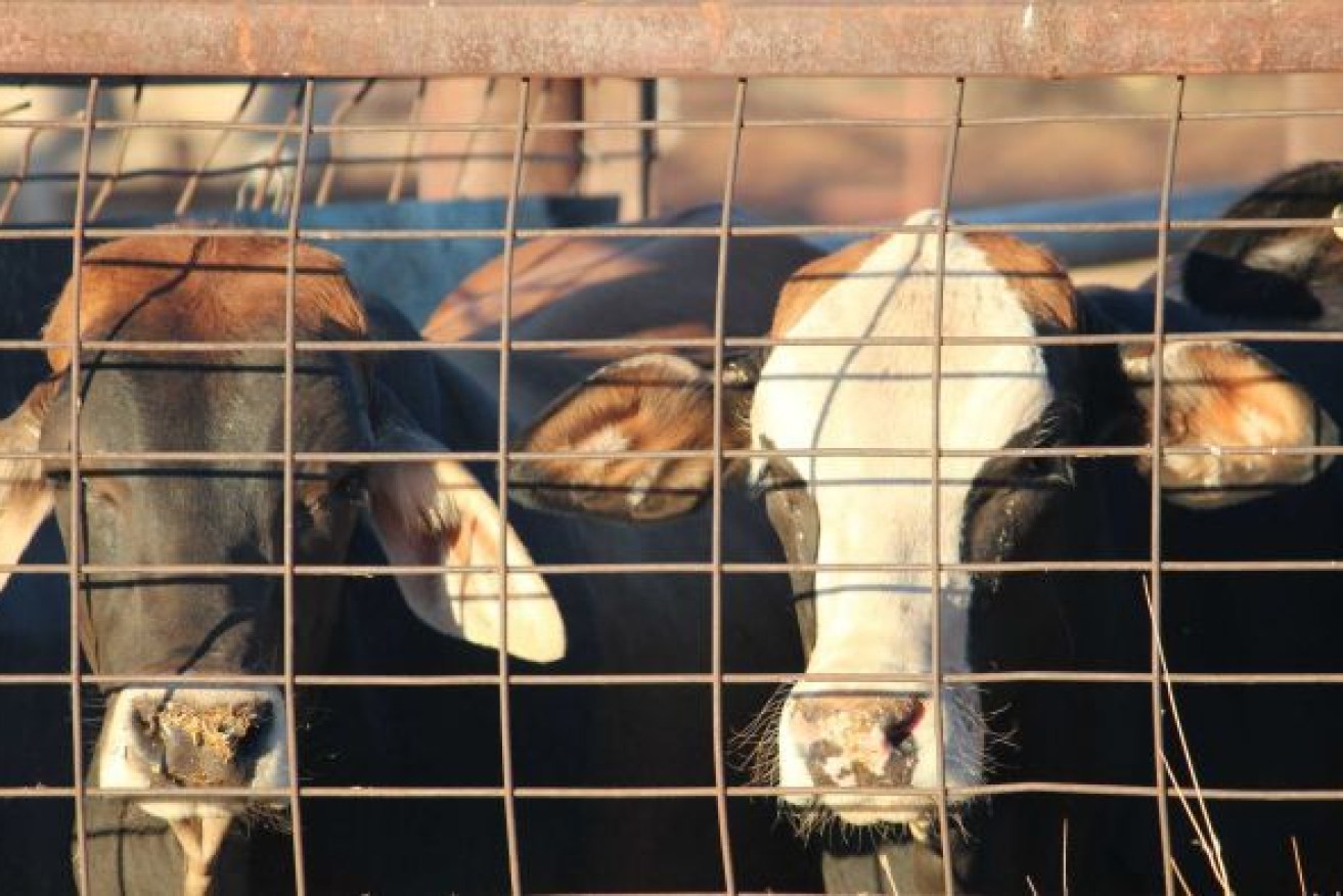 The EU is denying consumers access to healthy and wholesome Australian primary produce