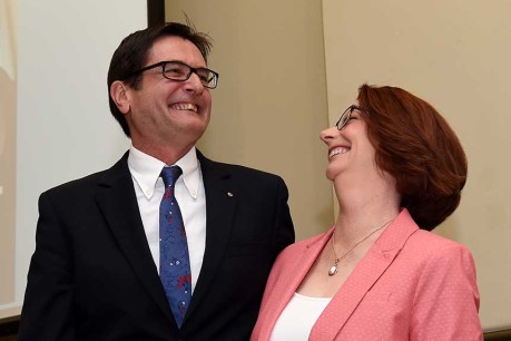Gillard: I offered Combet my job