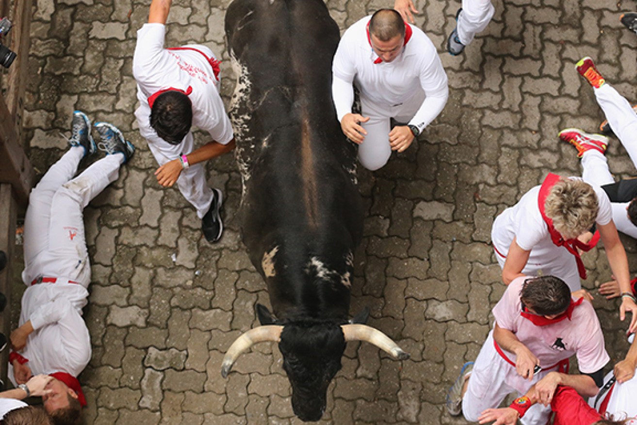 In Pamplona, the best known and biggest bull run, accusations of cruelty haven't shrunk the crowds. <i>Photo: AAP</i>