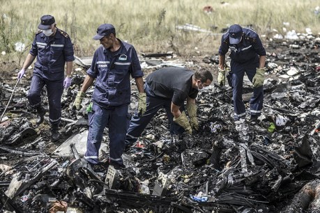 Grim task: Sifting through the MH17 wreckage