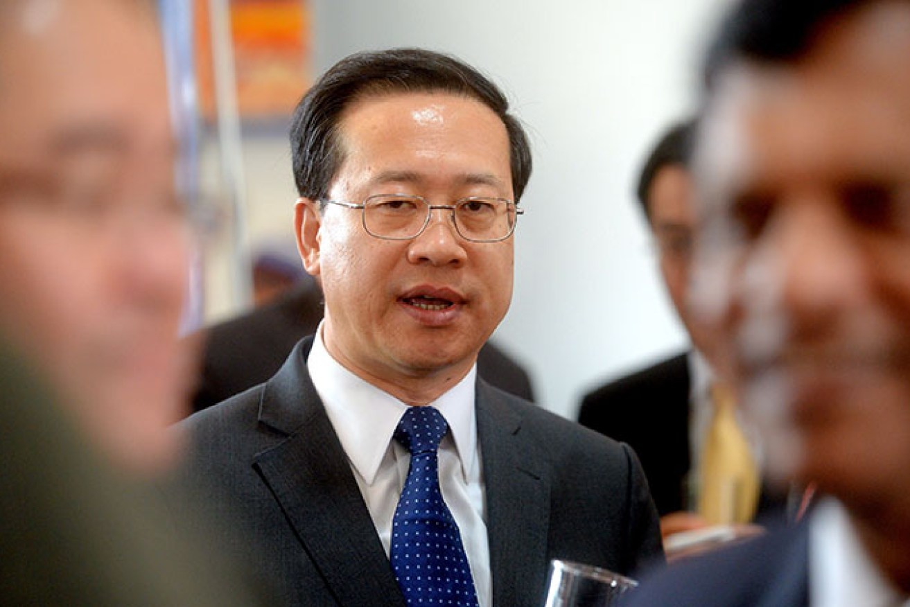 Chinese ambassador Ma Zhaoxu. 
