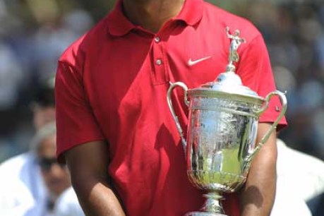 Tiger trouble: Can Woods get back in the swing?