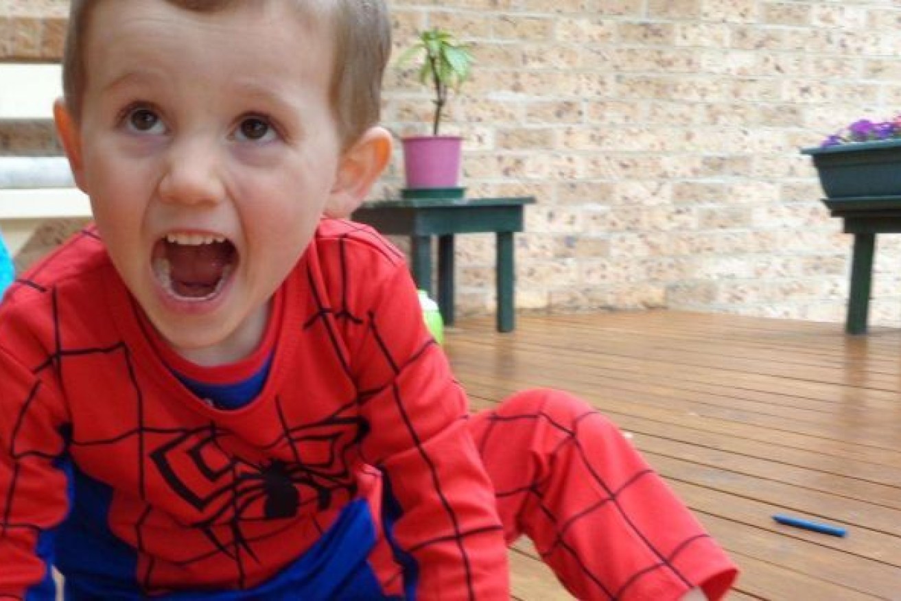 Three-year-old William Tyrell was last seen wearing a Spider-Man costume and playing in the front yard of a relative's home at Kendall, south of Port Macquarie.