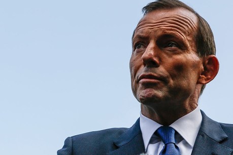 Ups and downs: Abbott&#8217;s first year