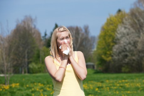 Scientists identify genetic risk factors for asthma, hay fever, eczema
