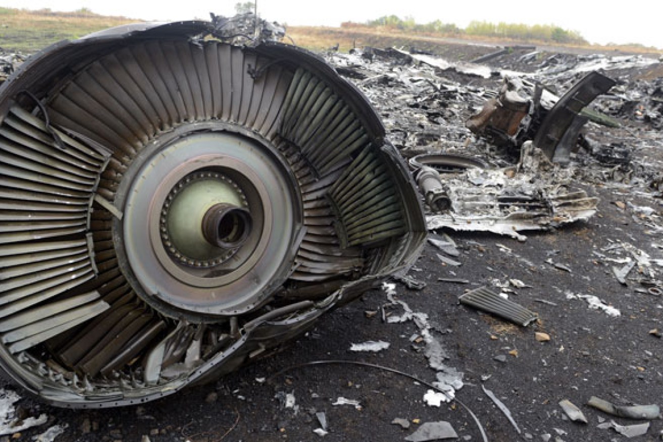 The remains of MH17 after it was shot down.  