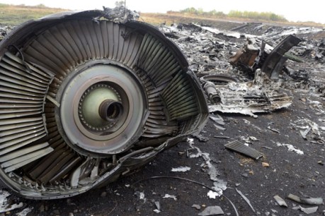 World Cup &#8216;under a shadow&#8217; say MH17 families, in open letter blaming Russia