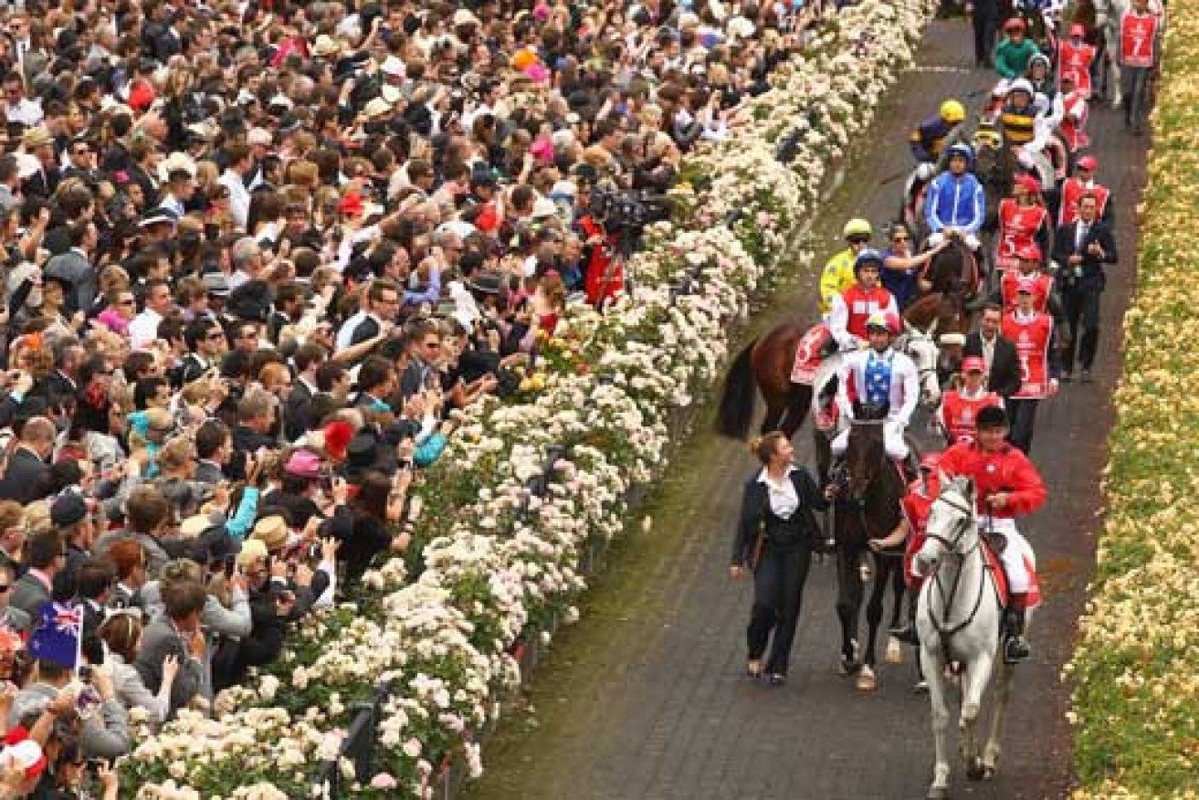 Horses being paraded through the roses before the 2011 Cup. Photo: Getty