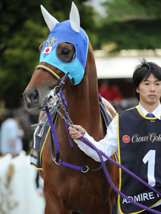 Admire Rakti from Japan is the horse to beat, Photo: Getty