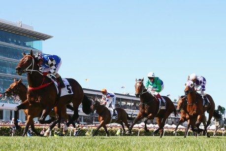 Every horse: your ultimate Melbourne Cup 2014 guide