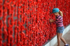 Crowds to return for Remembrance Day