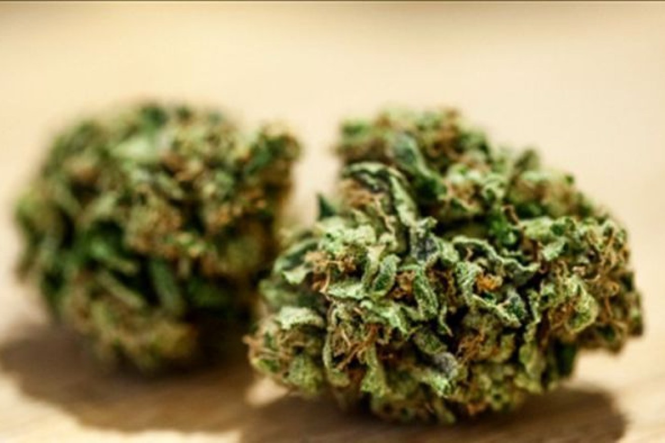 Medical marijuana will be used by a "select group of patients" Mr Andrews said.