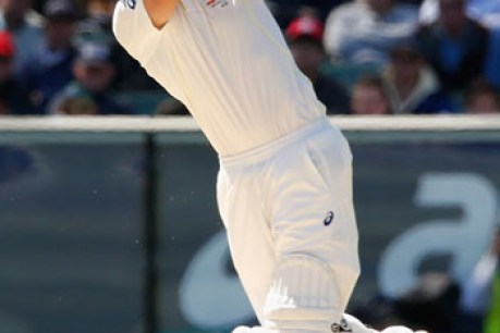 Steven Smith, master batsman, to the rescue
