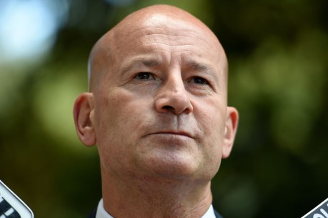 Robertson steps down as NSW Opposition Leader