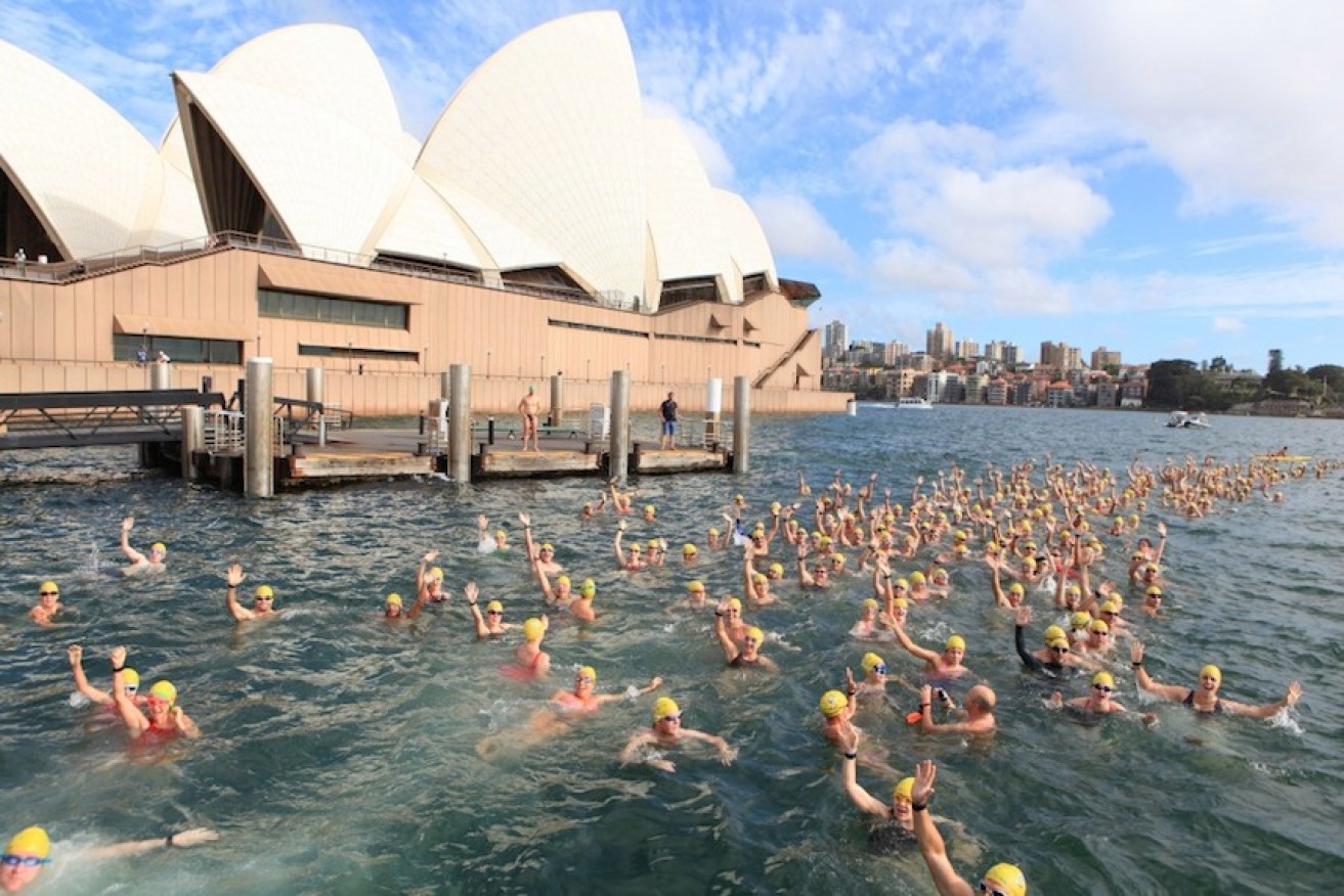It looks good, but water from Sydney harbour is often polluted. 