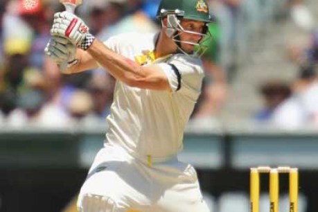 Why is Shaun Marsh a protected species?