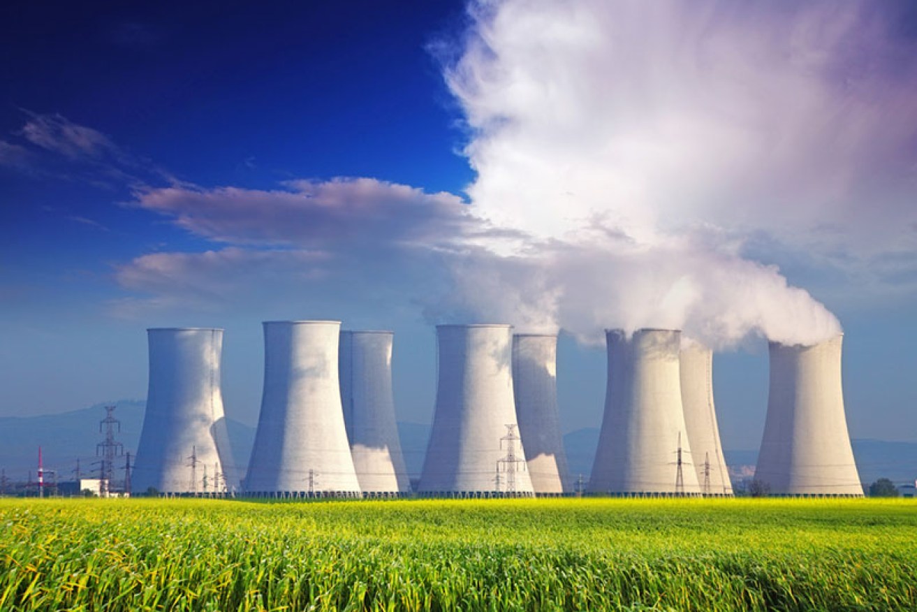 Nuclear energy will be too slow and expensive to assist in reaching net zero by 2050, according to a new report.