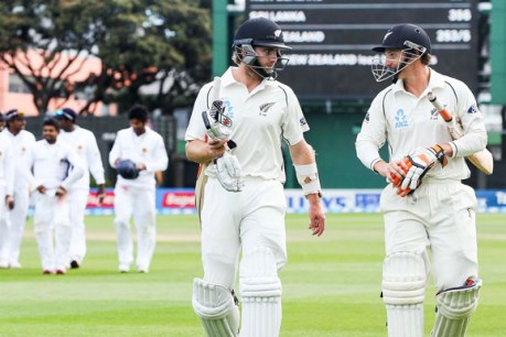 Defiant Williamson gives New Zealand hope