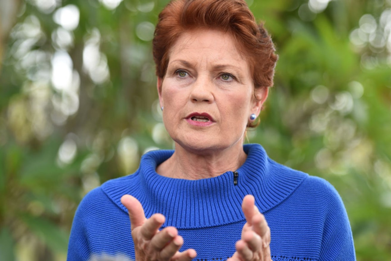 Ms Hanson spoke at length on family violence and foreign land ownership. Photo: AAP
