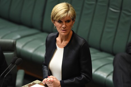 Julie Bishop rejects reports of joint patrols with Indonesia in South China Sea