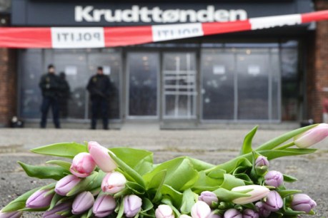 Two men charged over Copenhagen terror