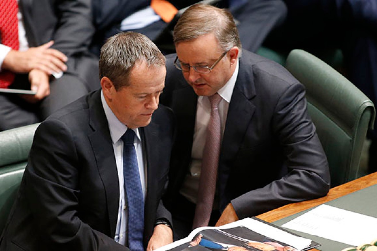Anthony Albanese has said Labor should "celebrate its victories" in apparent contrast to Bill Shorten's approach. 