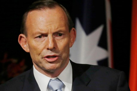 Stalking horses saddling up against Tony Abbott