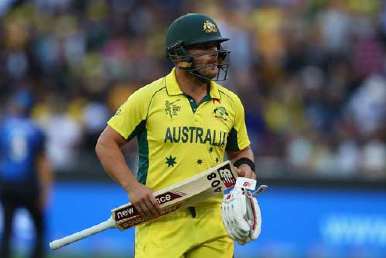 Aaron Finch's wicket had New Zealand up and about in the second over of the chase. 