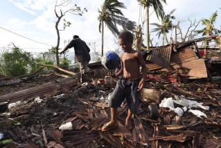 ‘Stealing trees’: Vanuatu halts Chinese logging