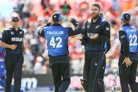 Veteran Vettori sets up New Zealand win